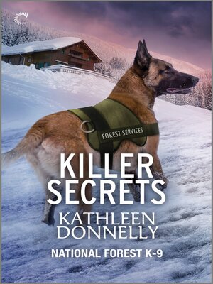 Killer Secrets - ebook
